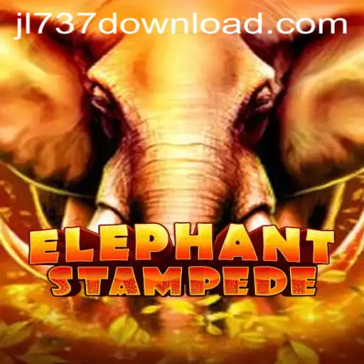 Discovering ElephantStampede: A Thrilling Adventure Awaits